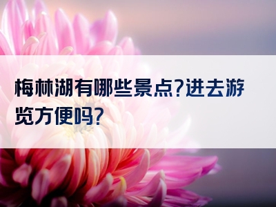 梅林湖有哪些景点？进去游览方便吗？