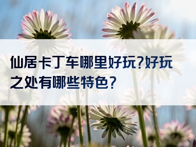 仙居卡丁车哪里好玩？好玩之处有哪些特色？