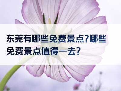东莞有哪些免费景点？哪些免费景点值得一去？