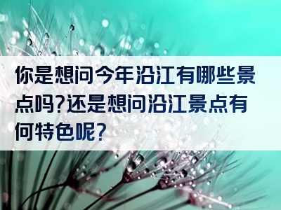 你是想问今年沿江有哪些景点吗？还是想问沿江景点有何特色呢？