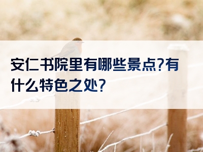 安仁书院里有哪些景点？有什么特色之处？