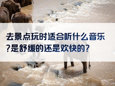 去景点玩时适合听什么音乐？是舒缓的还是欢快的？