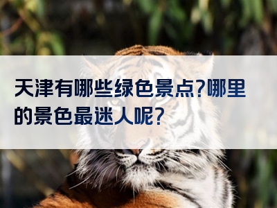 天津有哪些绿色景点？哪里的景色最迷人呢？