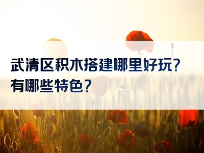 武清区积木搭建哪里好玩？有哪些特色？