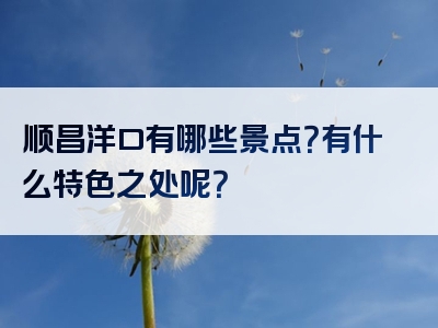 顺昌洋口有哪些景点？有什么特色之处呢？