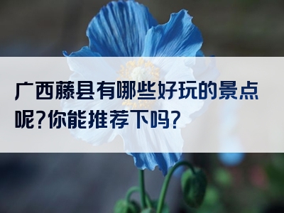 广西藤县有哪些好玩的景点呢？你能推荐下吗？