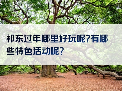 祁东过年哪里好玩呢？有哪些特色活动呢？