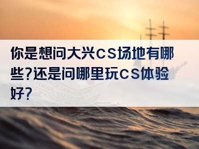 你是想问大兴cs场地有哪些？还是问哪里玩cs体验好？