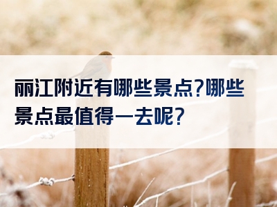 丽江附近有哪些景点？哪些景点最值得一去呢？