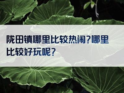 陇田镇哪里比较热闹？哪里比较好玩呢？