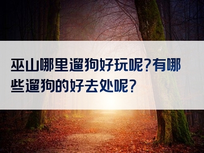巫山哪里遛狗好玩呢？有哪些遛狗的好去处呢？