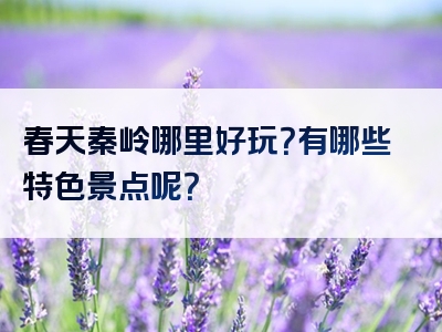 春天秦岭哪里好玩？有哪些特色景点呢？