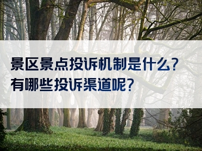 景区景点投诉机制是什么？有哪些投诉渠道呢？