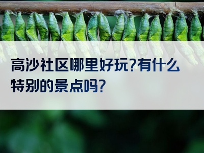 高沙社区哪里好玩？有什么特别的景点吗？
