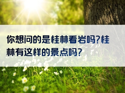 你想问的是桂林看岩吗？桂林有这样的景点吗？