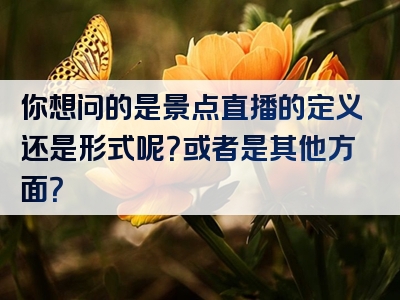 你想问的是景点直播的定义还是形式呢？或者是其他方面？