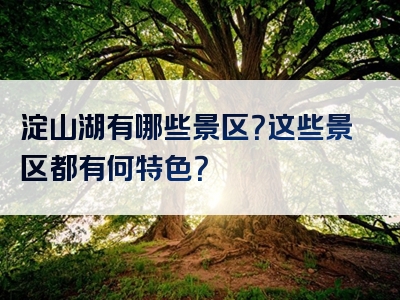淀山湖有哪些景区？这些景区都有何特色？