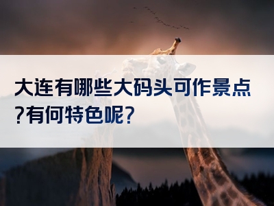 大连有哪些大码头可作景点？有何特色呢？