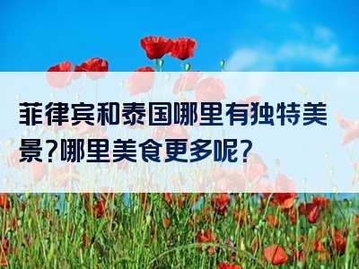 菲律宾和泰国哪里有独特美景？哪里美食更多呢？