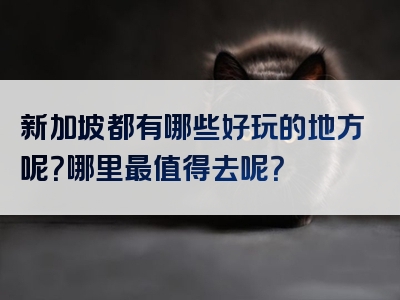 新加坡都有哪些好玩的地方呢？哪里最值得去呢？