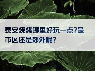 泰安烧烤哪里好玩一点？是市区还是郊外呢？