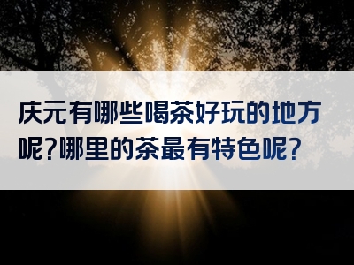 庆元有哪些喝茶好玩的地方呢？哪里的茶最有特色呢？