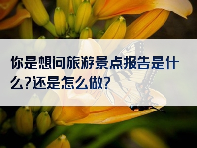 你是想问旅游景点报告是什么？还是怎么做？