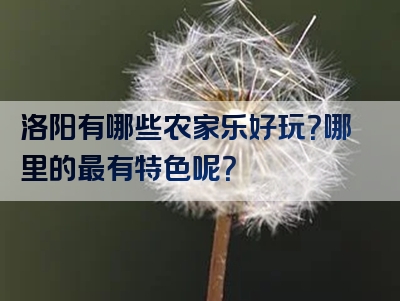 洛阳有哪些农家乐好玩？哪里的最有特色呢？