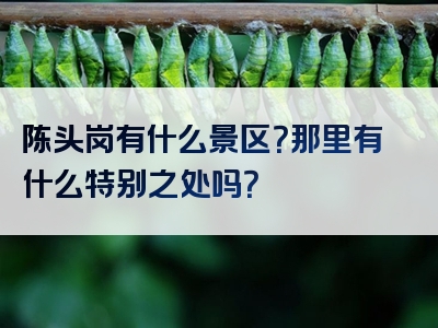 陈头岗有什么景区？那里有什么特别之处吗？