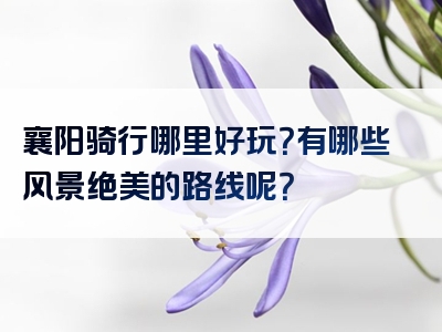 襄阳骑行哪里好玩？有哪些风景绝美的路线呢？