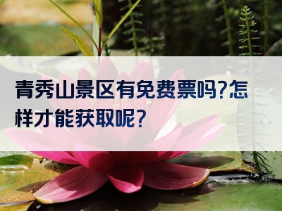 青秀山景区有免费票吗？怎样才能获取呢？