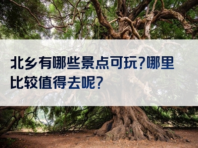 北乡有哪些景点可玩？哪里比较值得去呢？