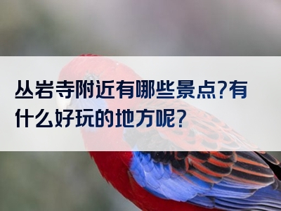 丛岩寺附近有哪些景点？有什么好玩的地方呢？