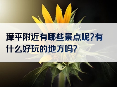 漳平附近有哪些景点呢？有什么好玩的地方吗？