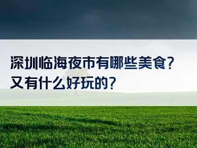 深圳临海夜市有哪些美食？又有什么好玩的？