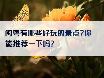 闽粤有哪些好玩的景点？你能推荐一下吗？