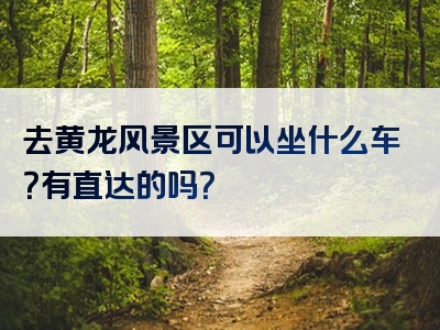 去黄龙风景区可以坐什么车？有直达的吗？