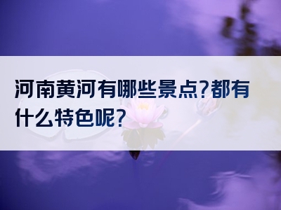 河南黄河有哪些景点？都有什么特色呢？