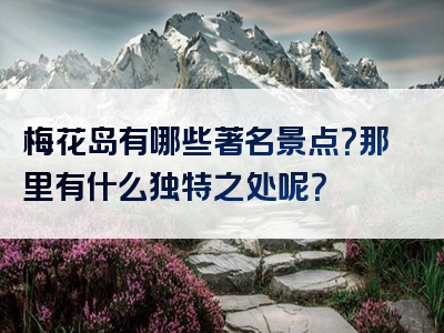 梅花岛有哪些著名景点？那里有什么独特之处呢？