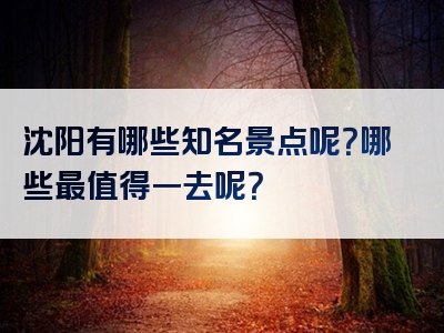 沈阳有哪些知名景点呢？哪些最值得一去呢？