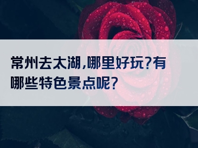 常州去太湖，哪里好玩？有哪些特色景点呢？