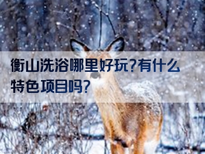 衡山洗浴哪里好玩？有什么特色项目吗？