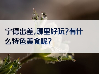 宁德出差，哪里好玩？有什么特色美食呢？