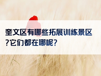 奎文区有哪些拓展训练景区？它们都在哪呢？