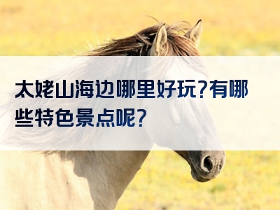 太姥山海边哪里好玩？有哪些特色景点呢？