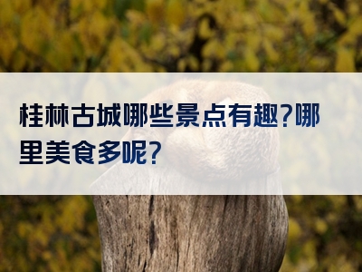 桂林古城哪些景点有趣？哪里美食多呢？