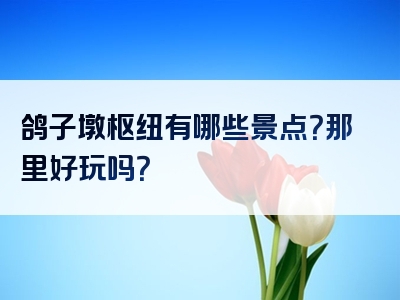鸽子墩枢纽有哪些景点？那里好玩吗？