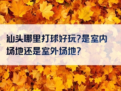 汕头哪里打球好玩？是室内场地还是室外场地？