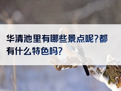 华清池里有哪些景点呢？都有什么特色吗？