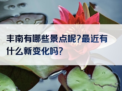 丰南有哪些景点呢？最近有什么新变化吗？